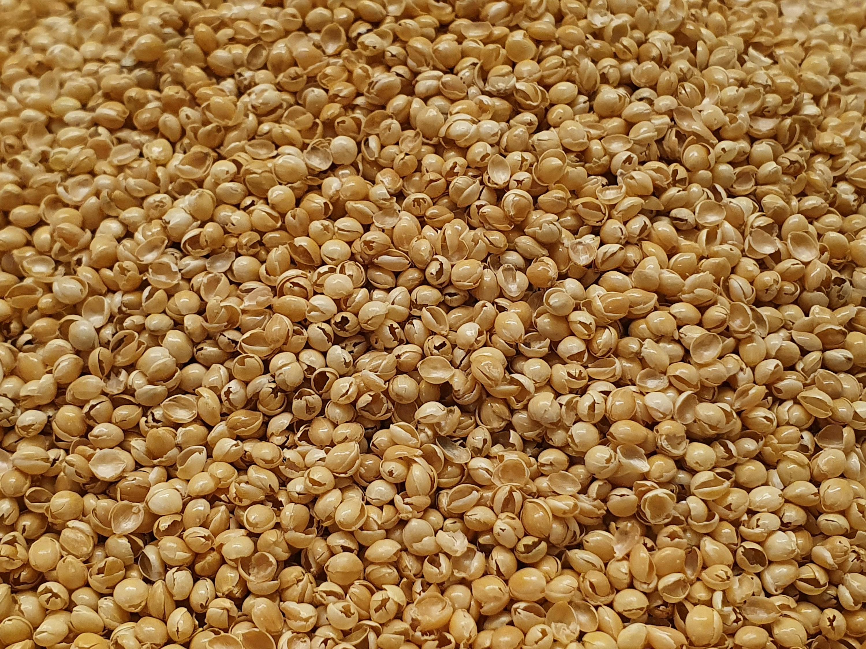 Sleepline Nachfüllbeutel Hirsespreu