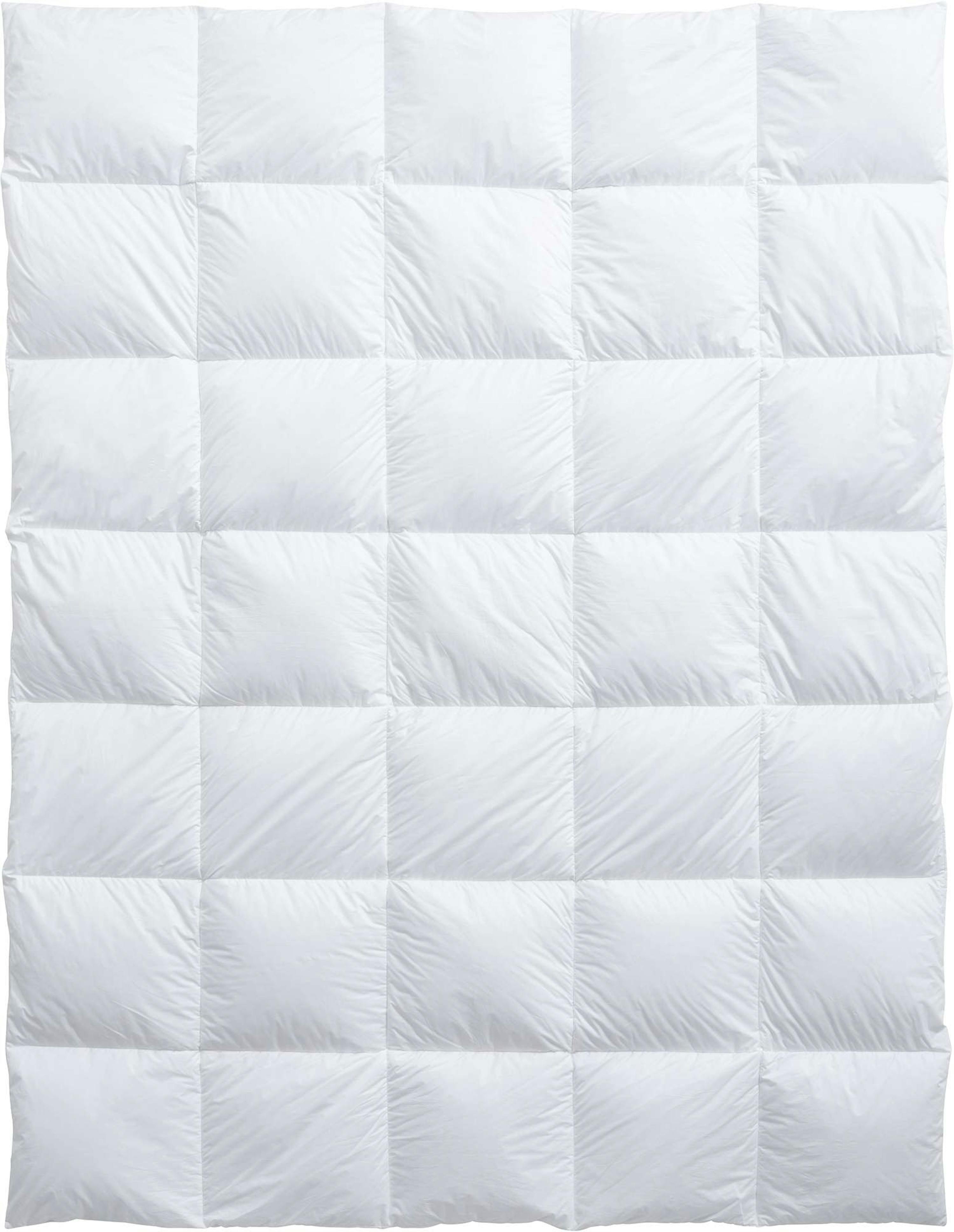 Billerbeck Duvet ClimaControl Classic medium (2024)