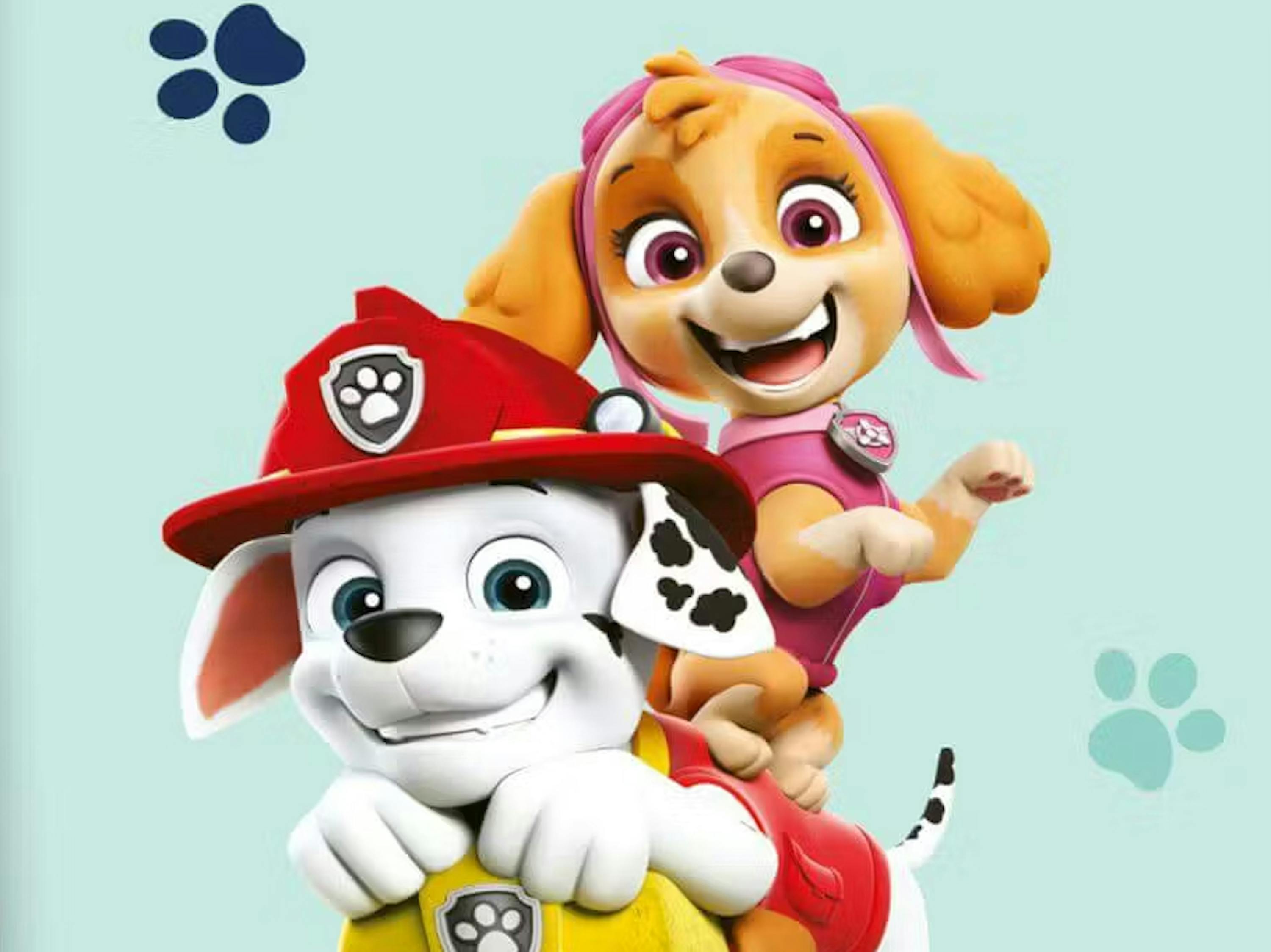 Strandtuch Paw Patrol