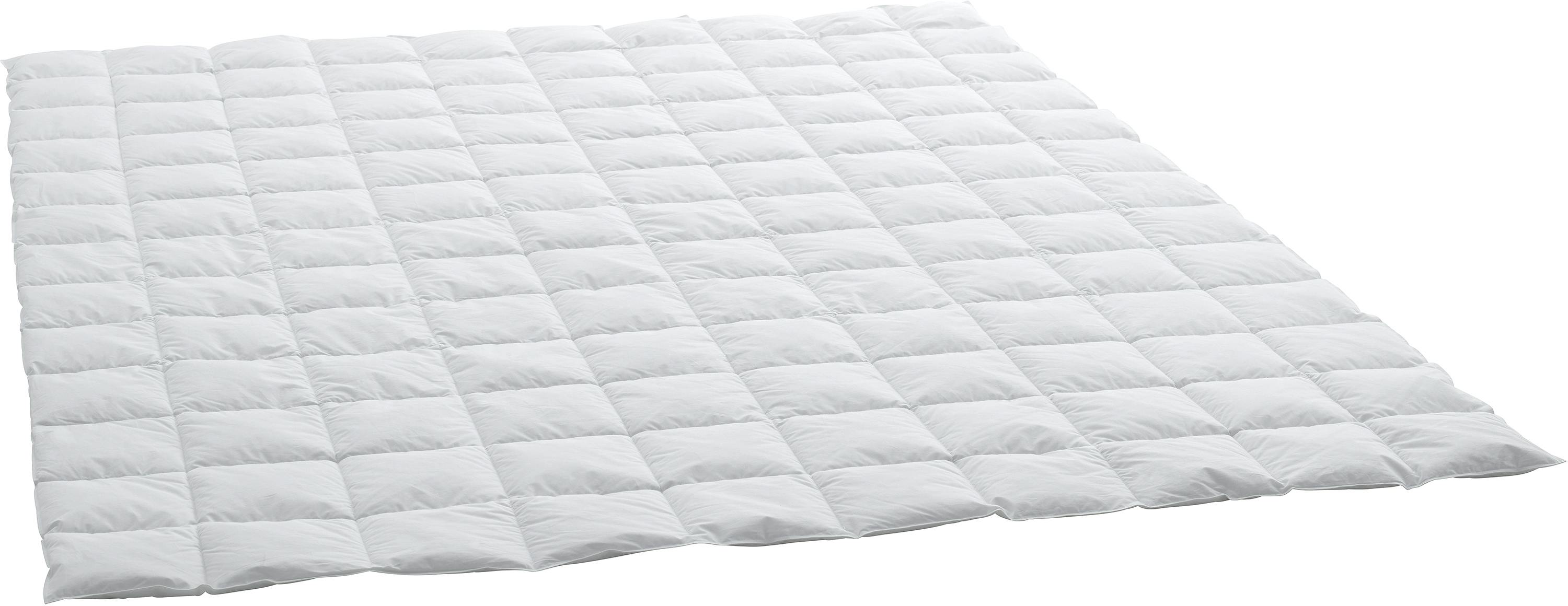 Billerbeck Daunendecke Verano Basic Superlight Billerbeck Daunendecke Verano Basic Superlight