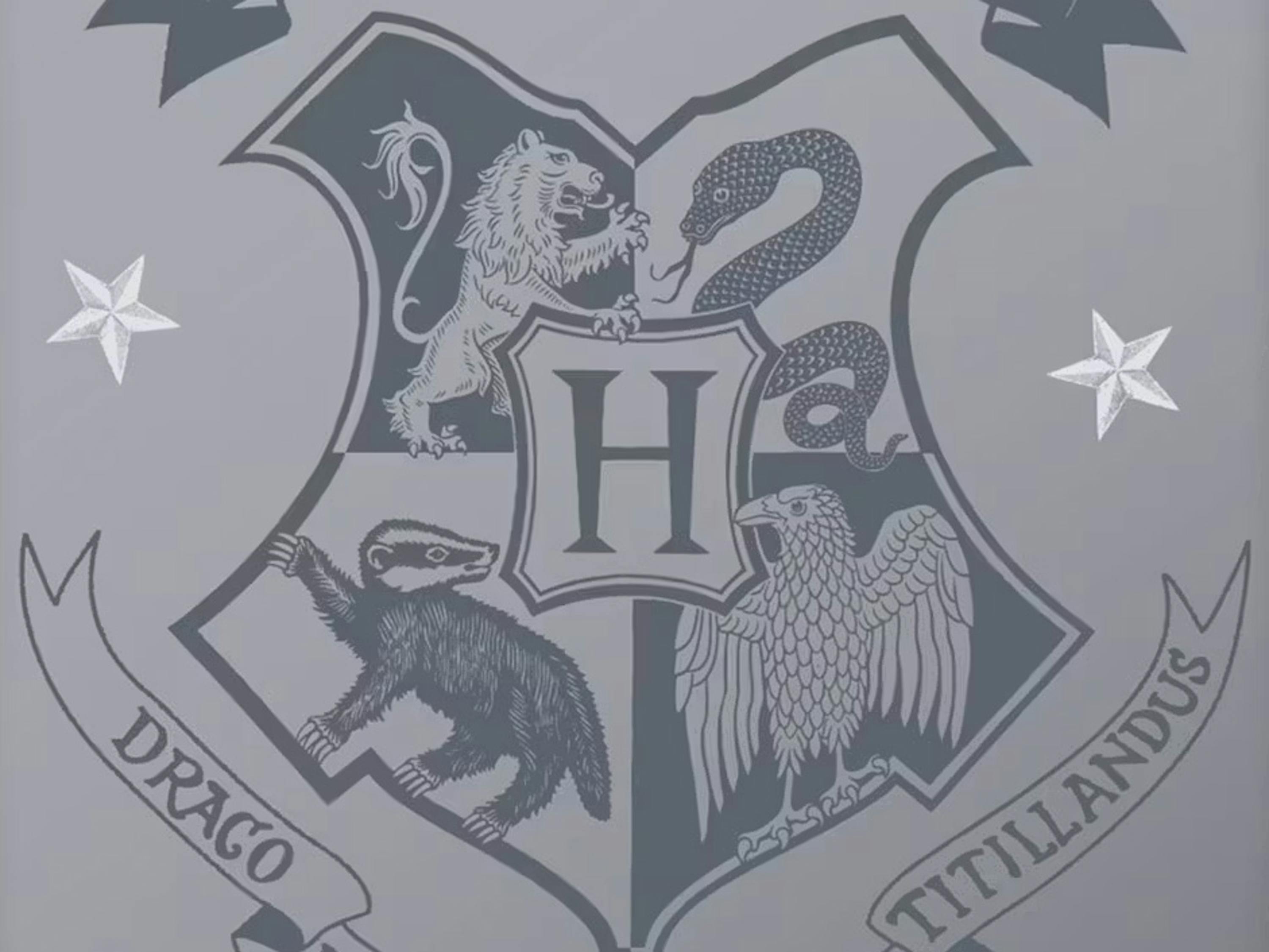 Strandtuch Harry Potter «Wappen»