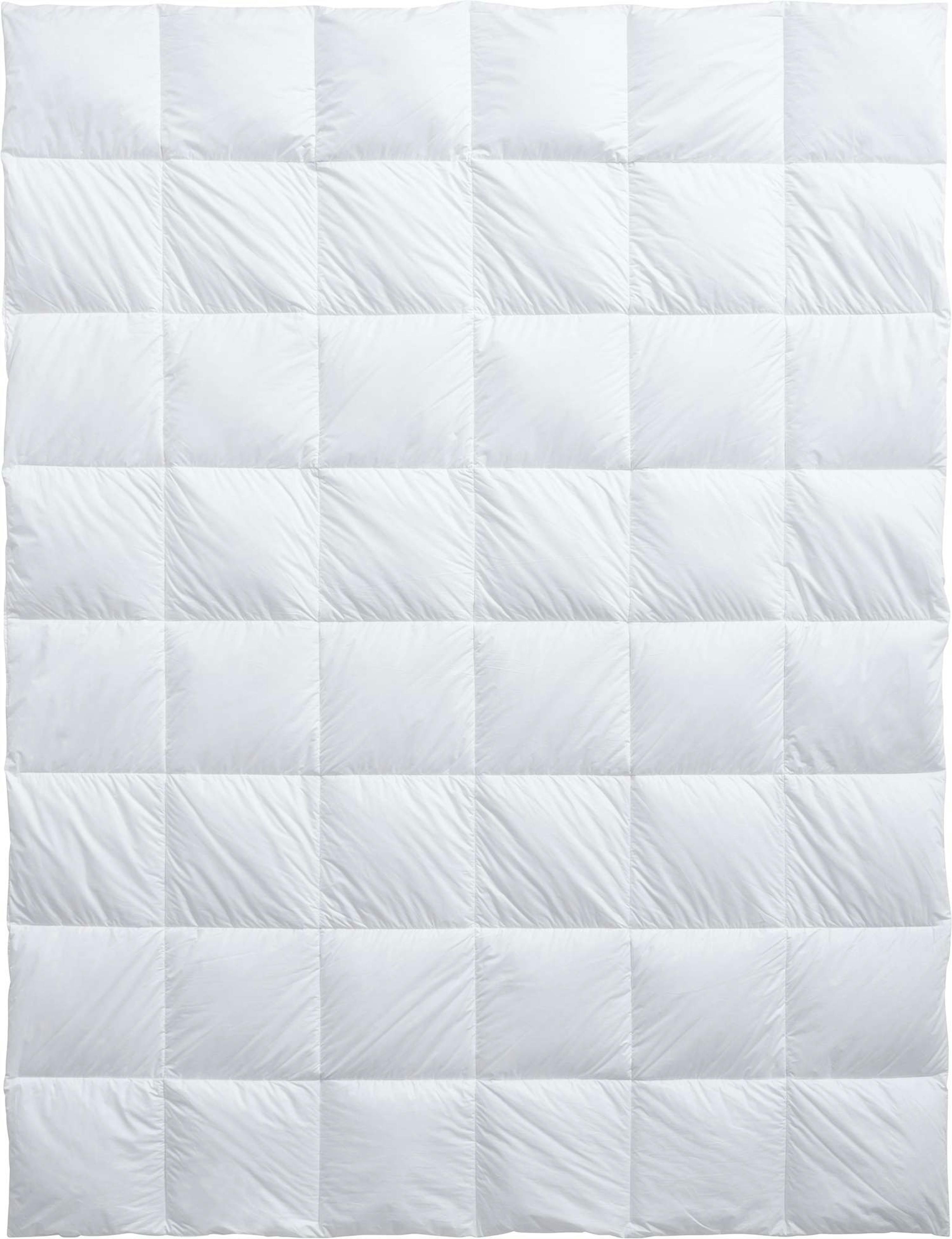 Billerbeck Duvet ClimaControl Light leicht (2024)