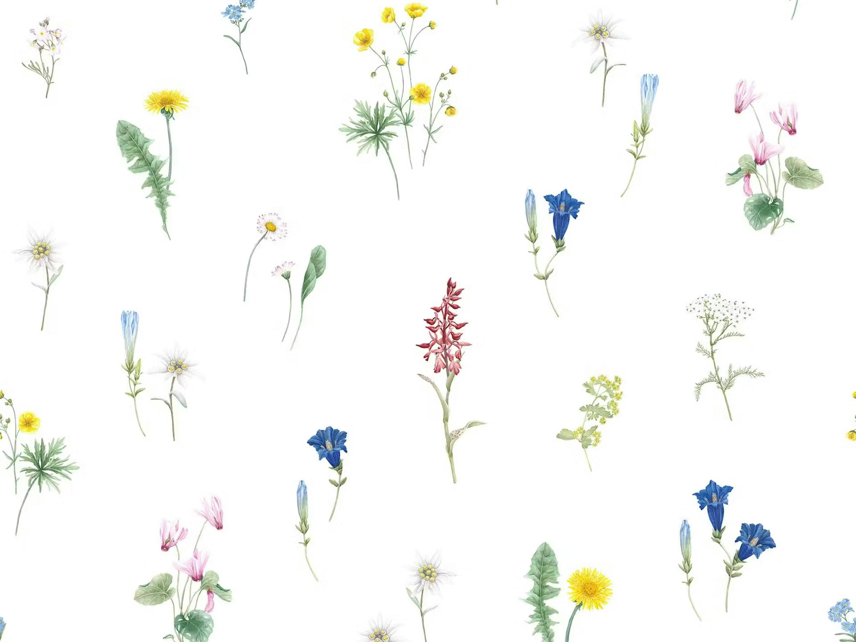 Schlossberg Bettwäsche FLURINA Satin Noblesse Schlossberg Bettwäsche FLURINA Satin Noblesse