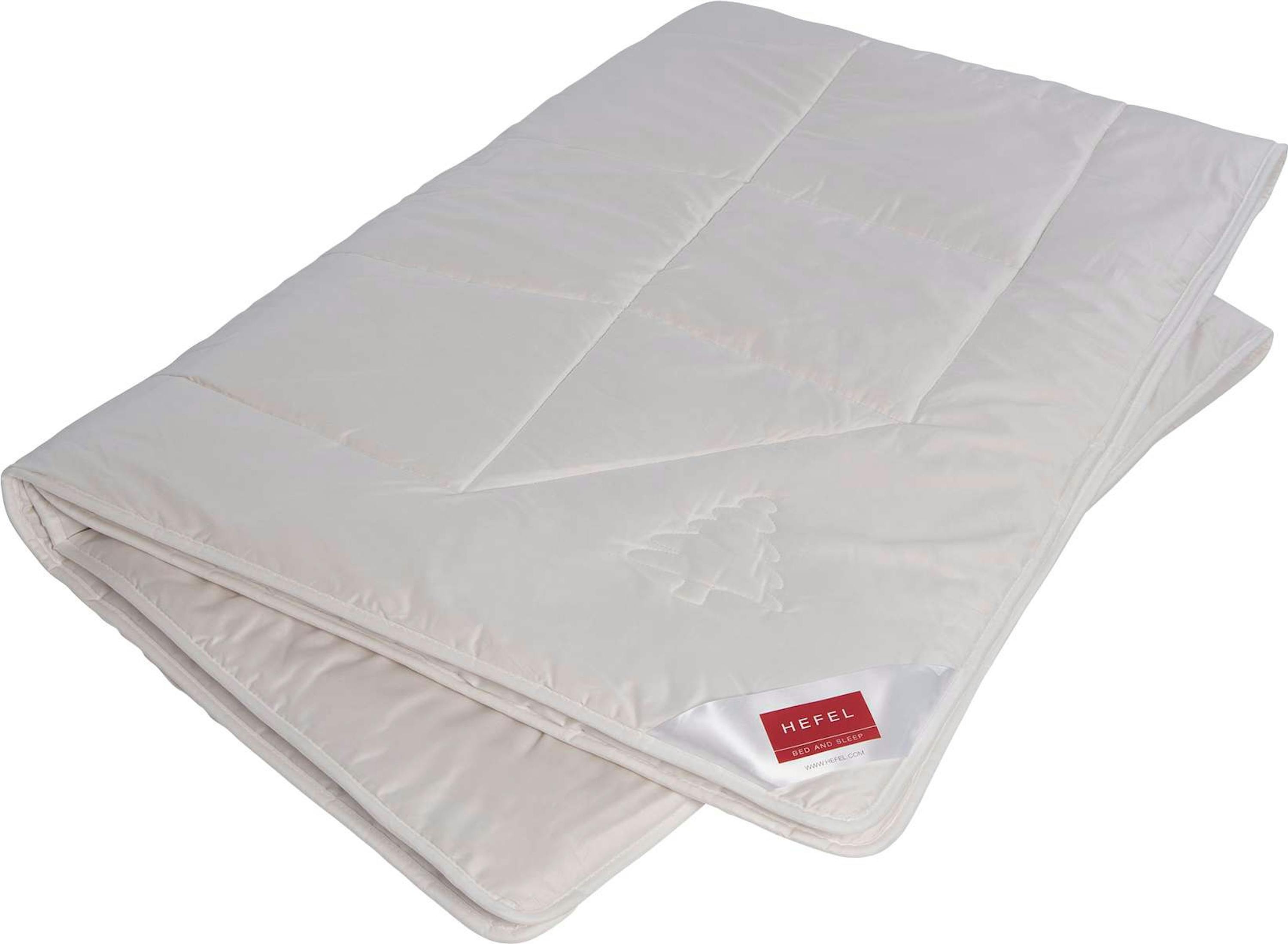 HEFEL Wellness Zirbe Decke light