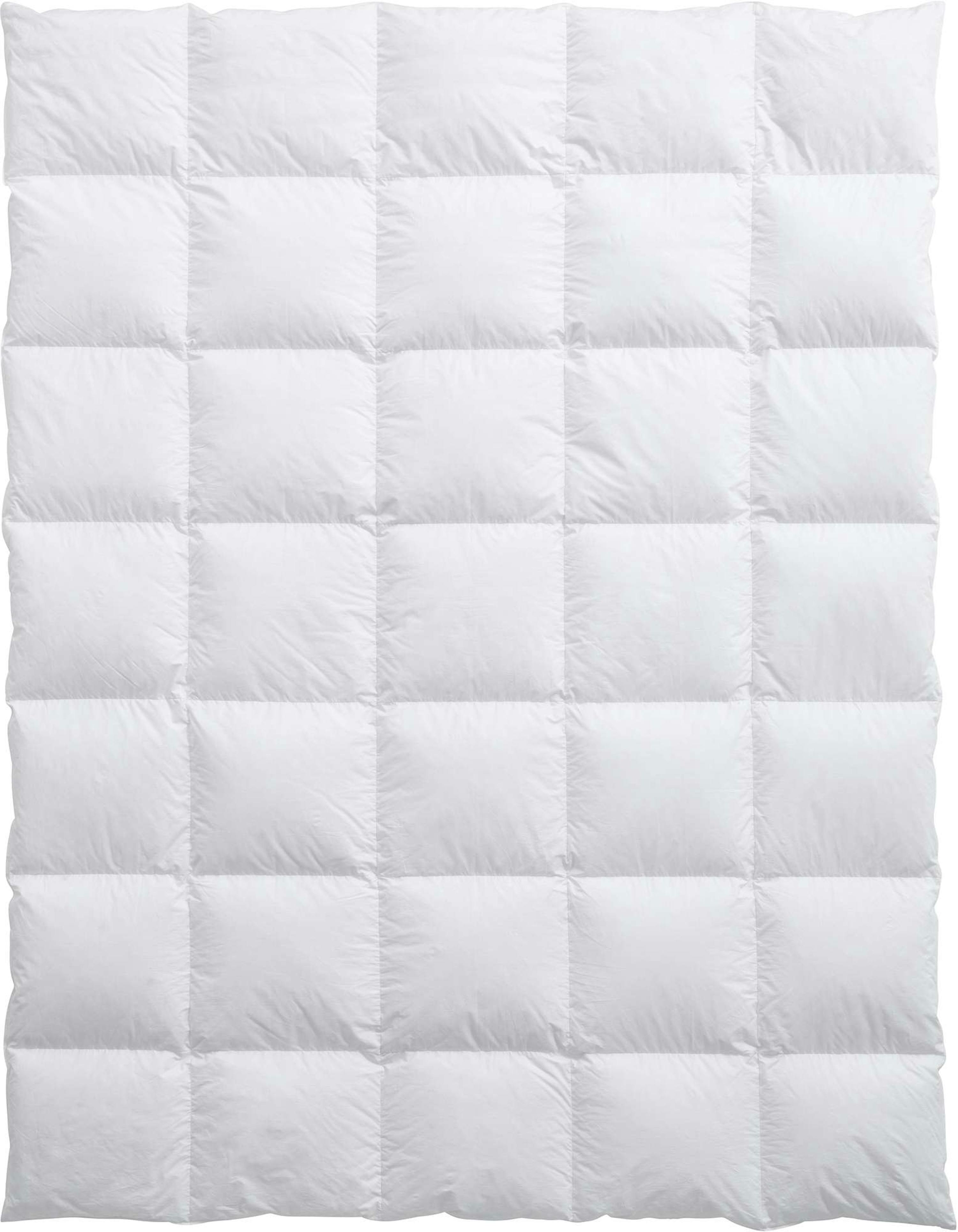 Billerbeck Daunenduvet Luzern 100 medium Billerbeck Daunenduvet Luzern 100 medium