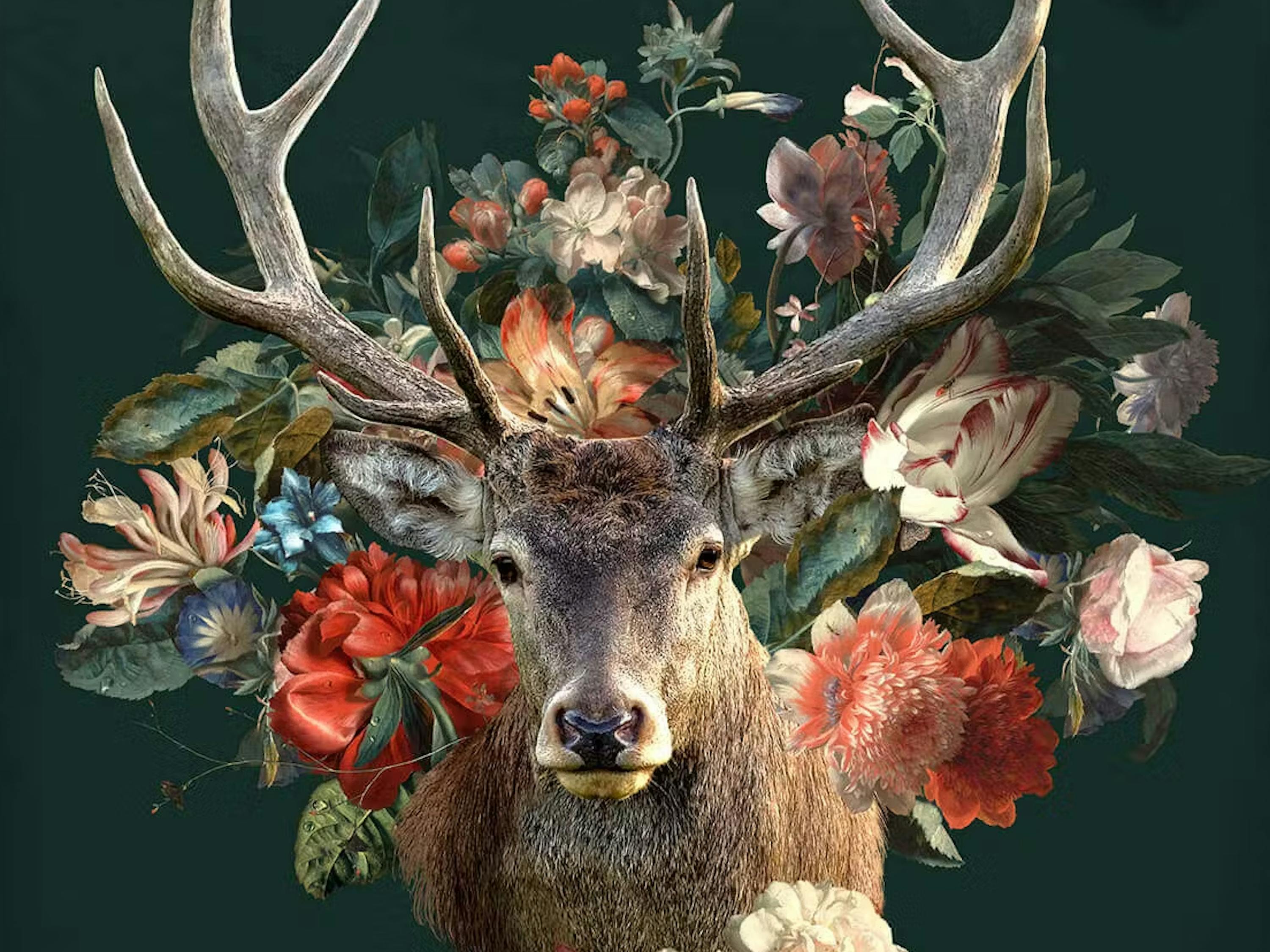 Bettwäsche Hirsch mit Blumen
