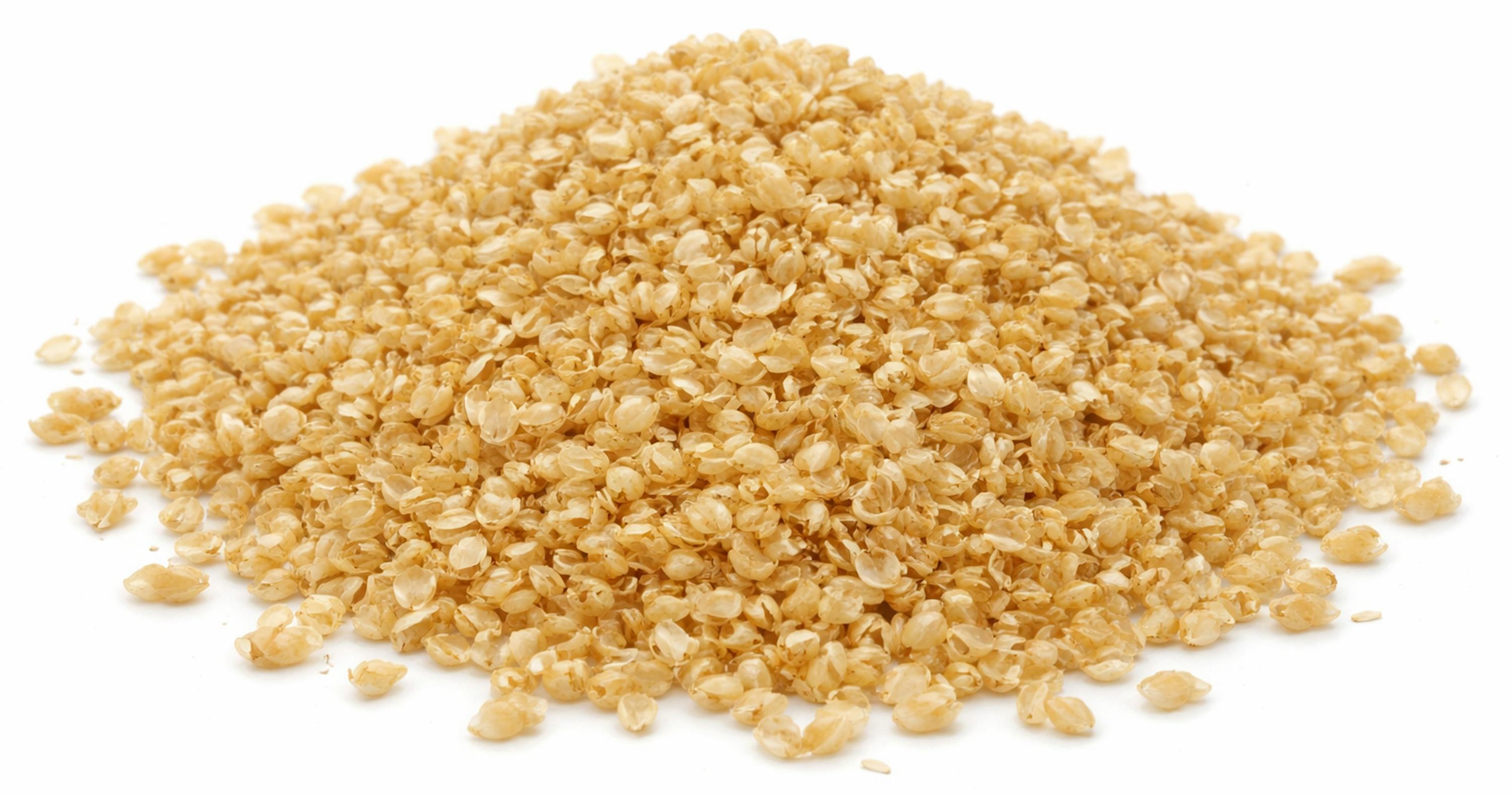 Sleepline Nachfüllbeutel Hirsespreu