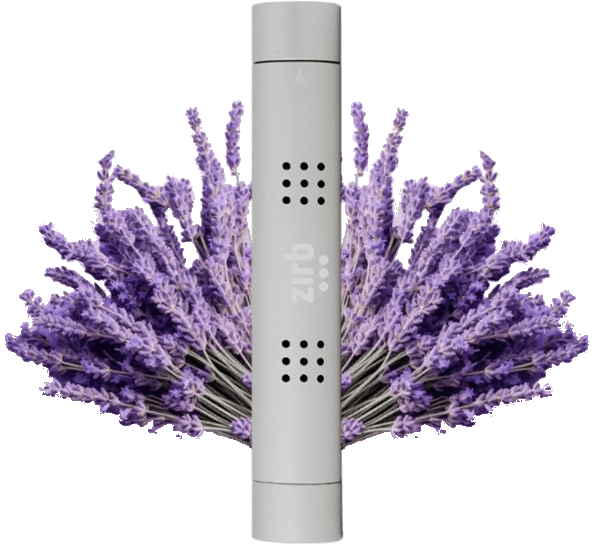 zirb.Car Autoduft Starterset zirb.Car Autoduft Starterset