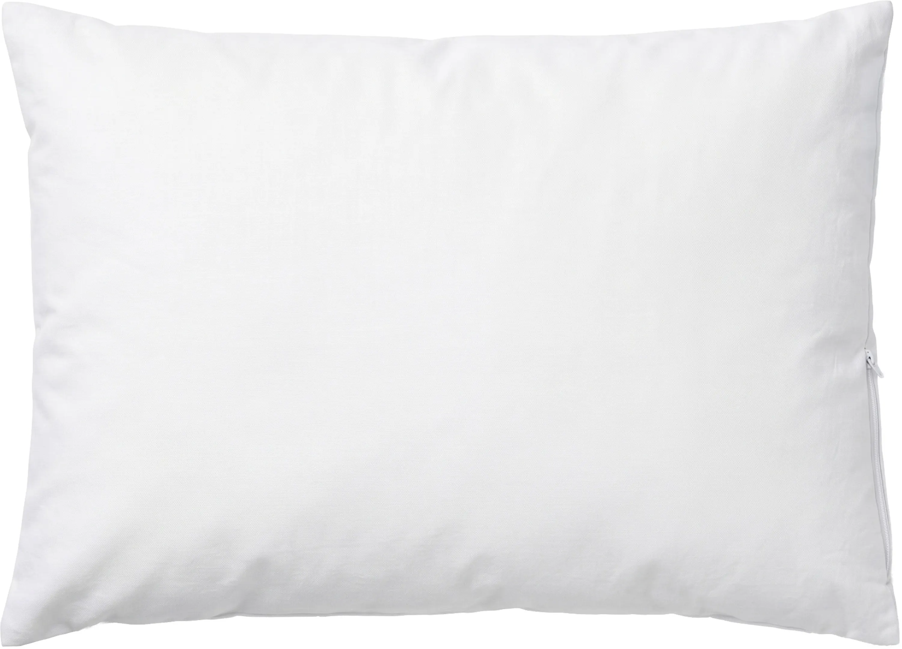 Schlafshop Bio Hirse-Kissen