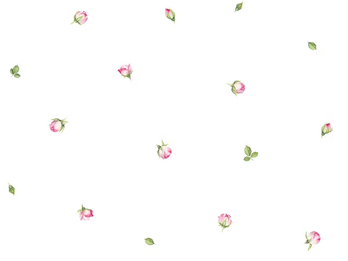 Schlossberg Bettwäsche JEUNESSE Satin Noblesse Schlossberg Bettwäsche JEUNESSE Satin Noblesse