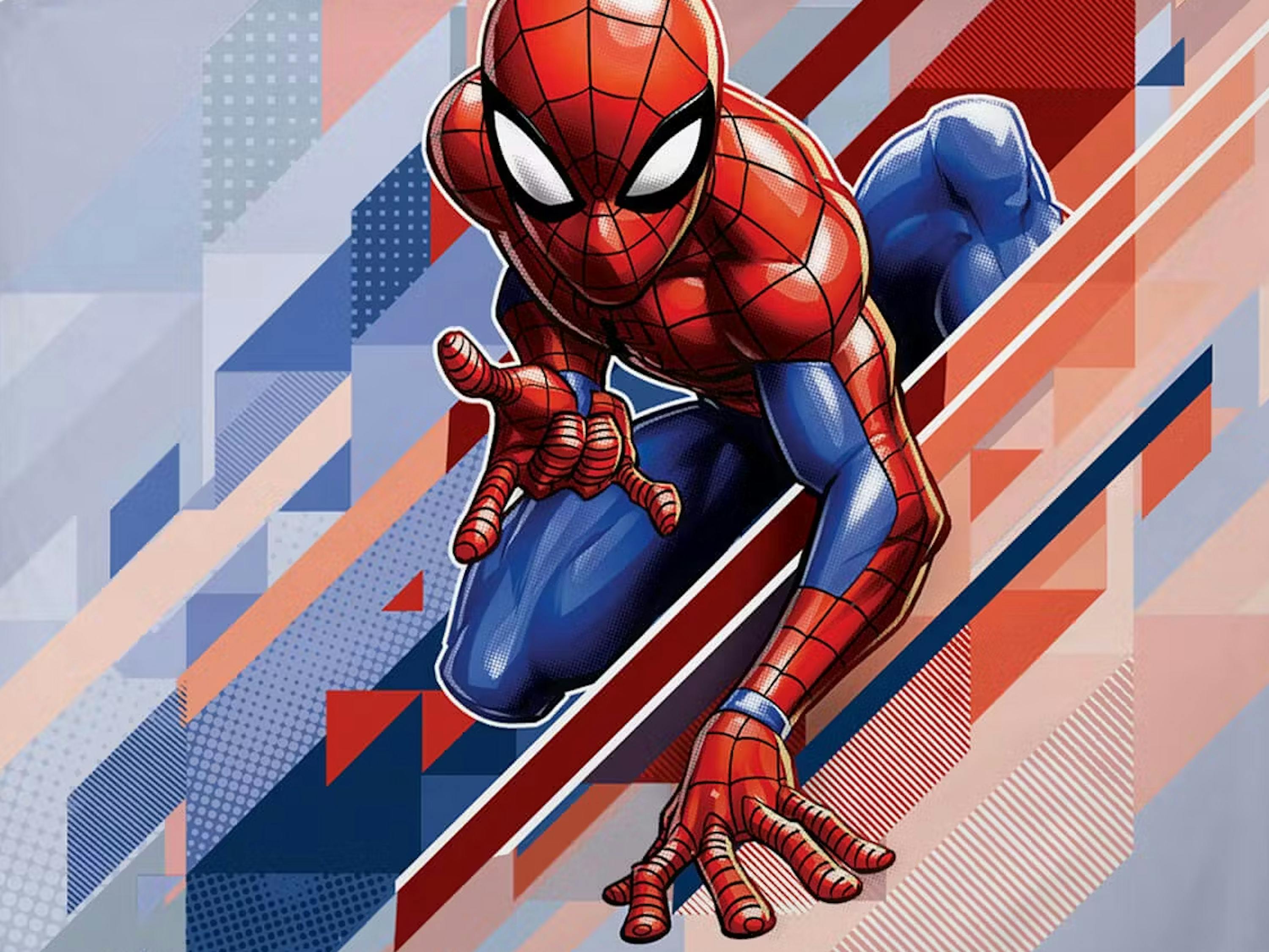 Bettwäsche Spider-Man