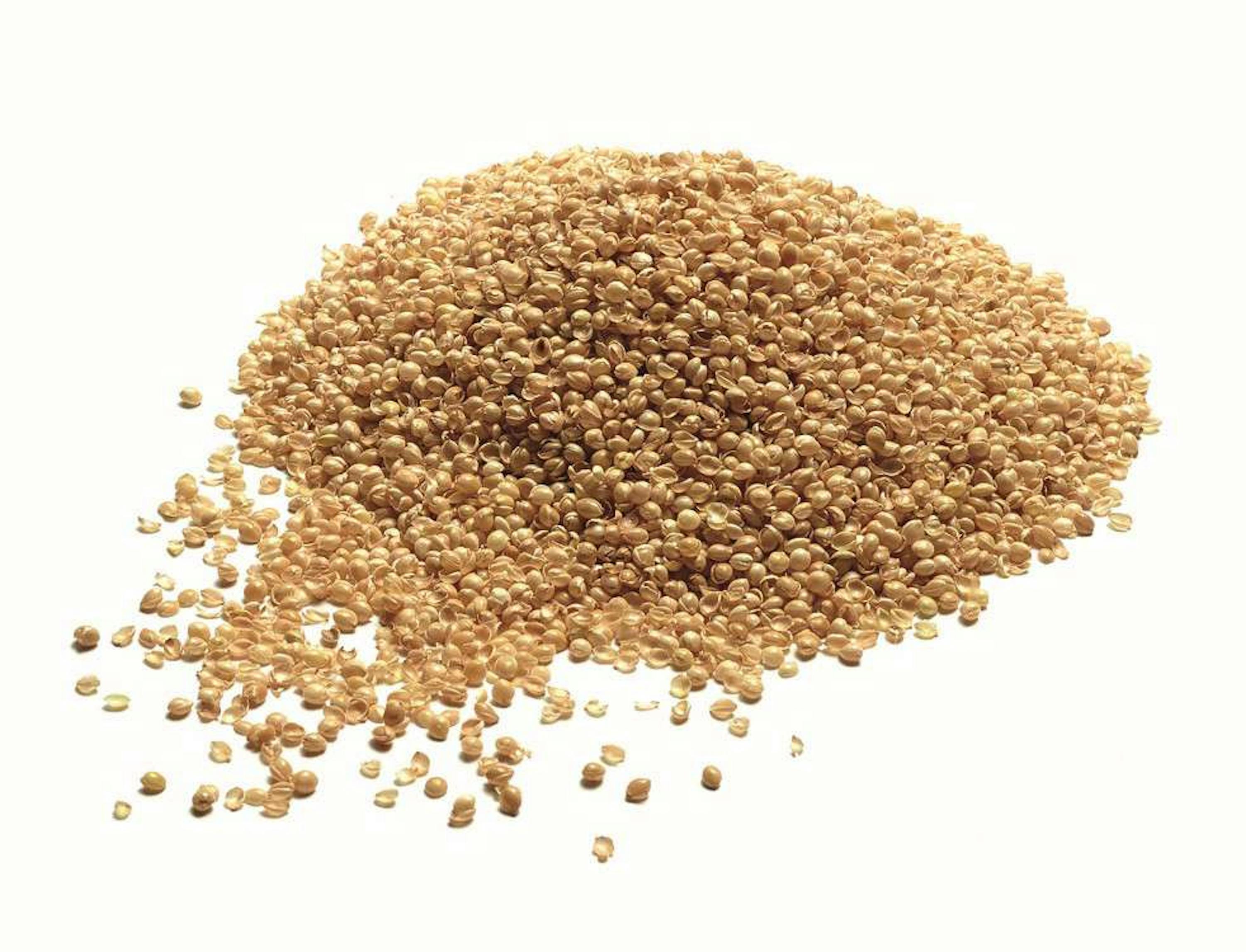 Billerbeck Nachfüllbeutel Hirseschalen Billerbeck Nachfüllbeutel Hirseschalen