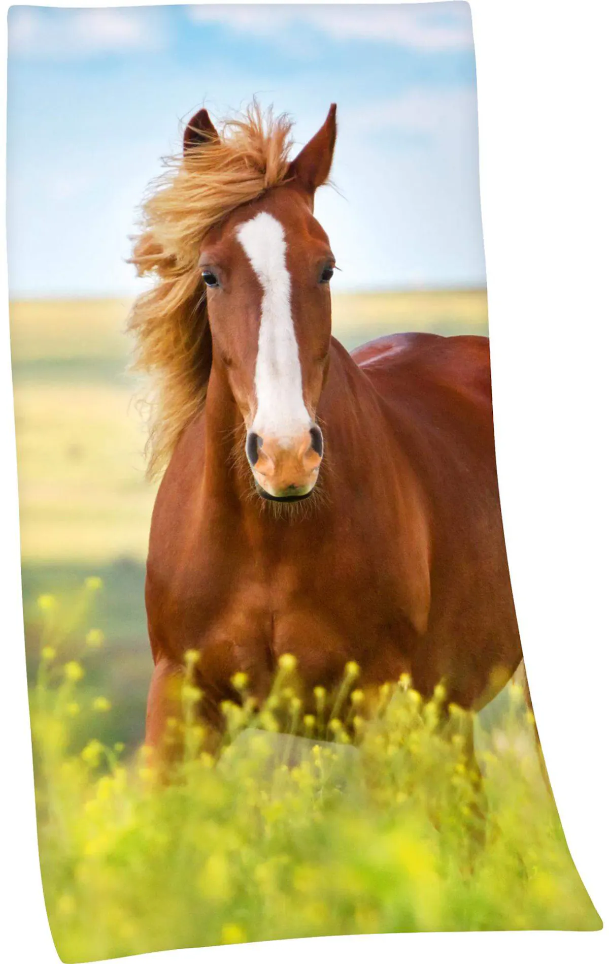 Strandtuch Pferd Freedom – Ideal für den perfekten Tag am Meer!