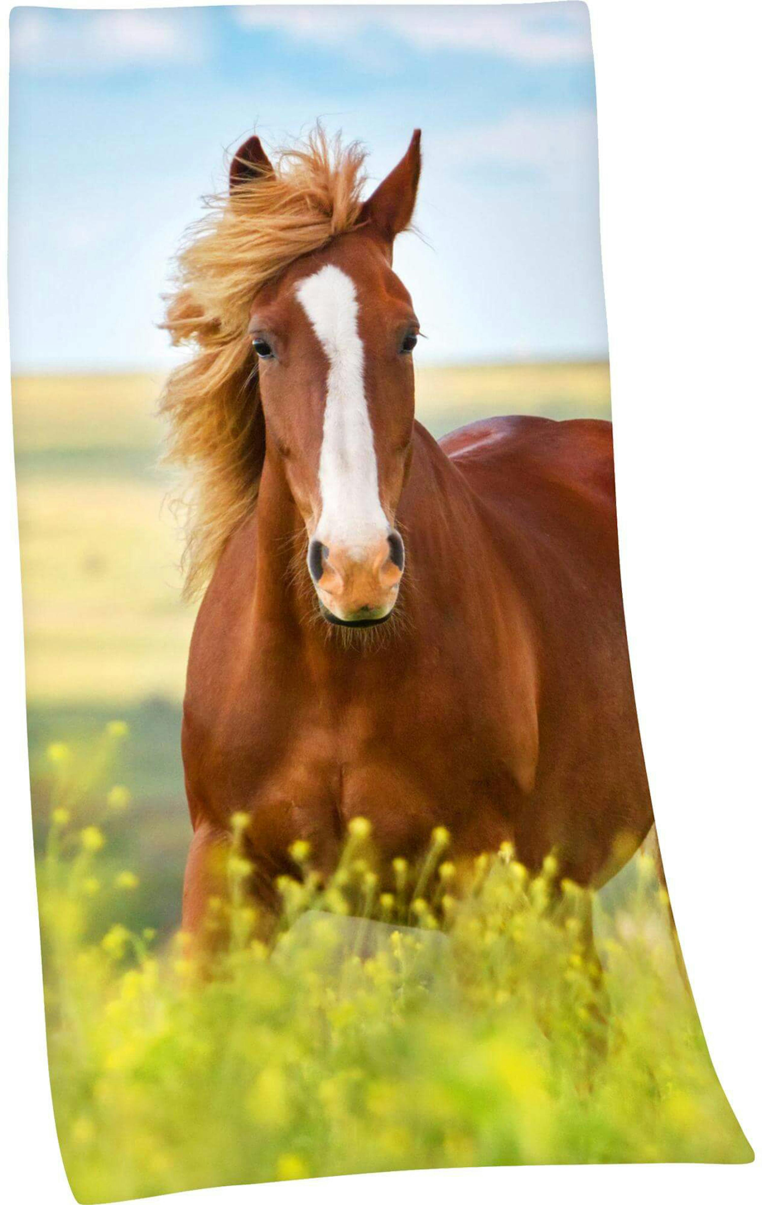 Strandtuch Pferd Freedom
