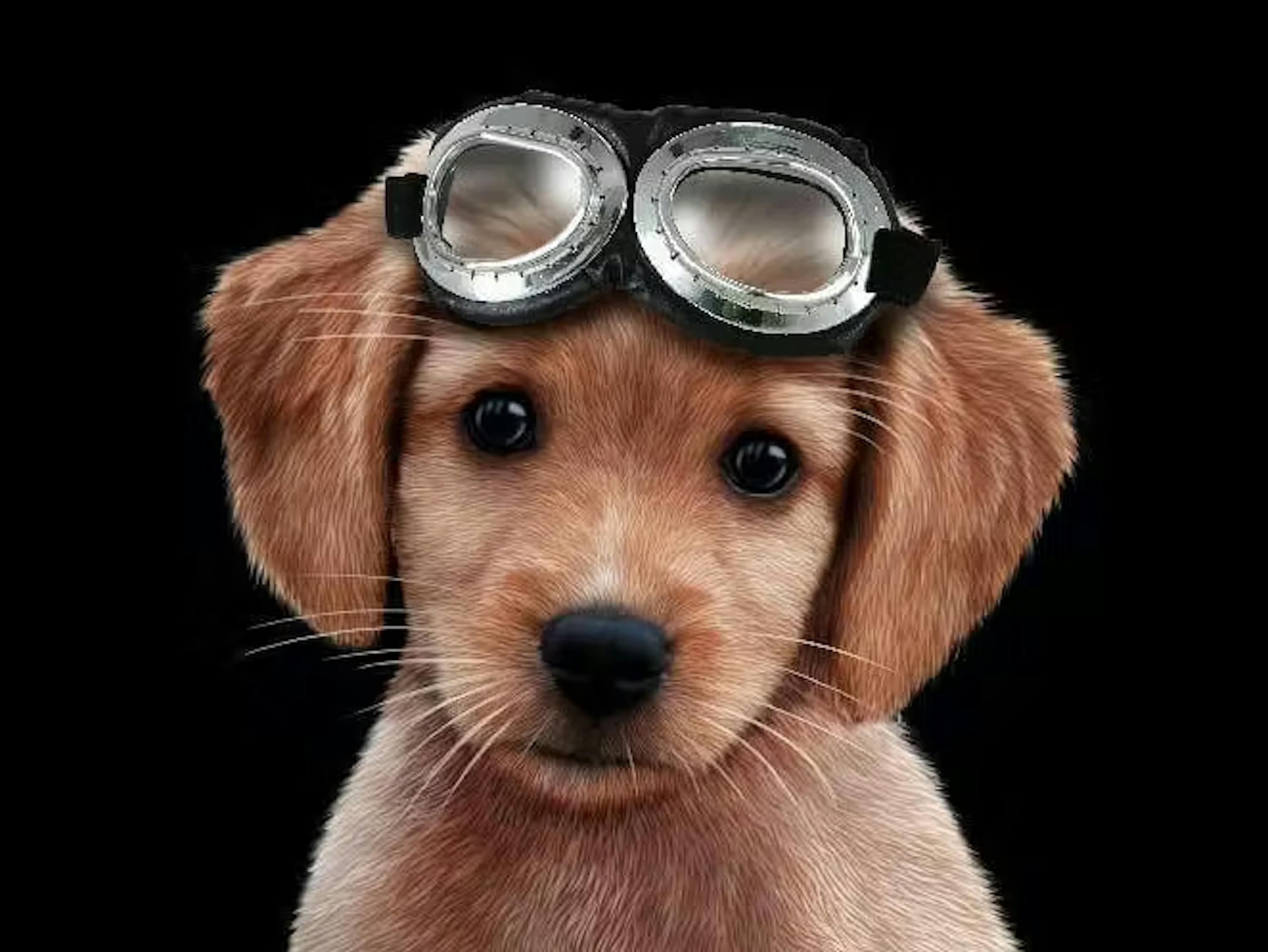 Strandtuch Flying Dog