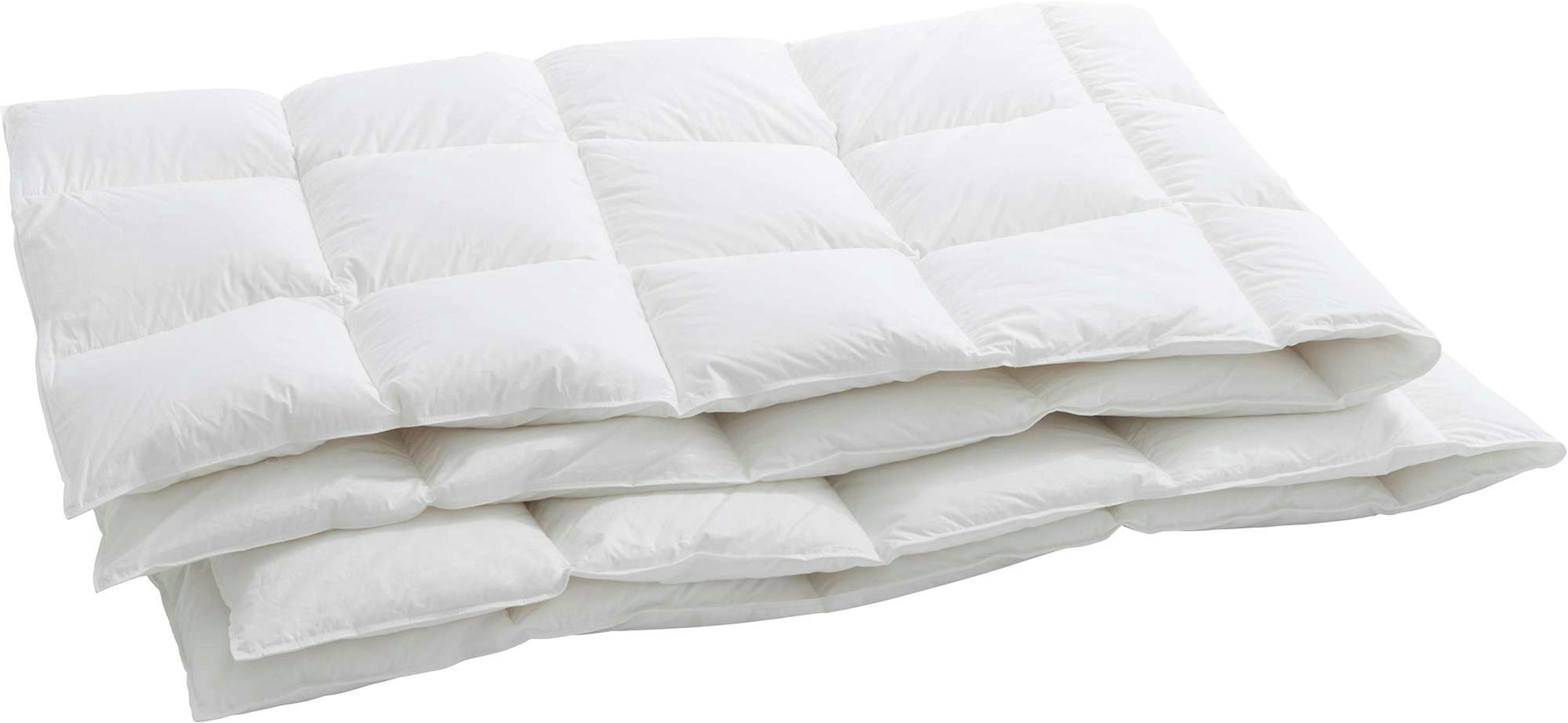 Billerbeck Daunenduvet Bern 100 leicht Billerbeck Daunenduvet Bern 100 leicht