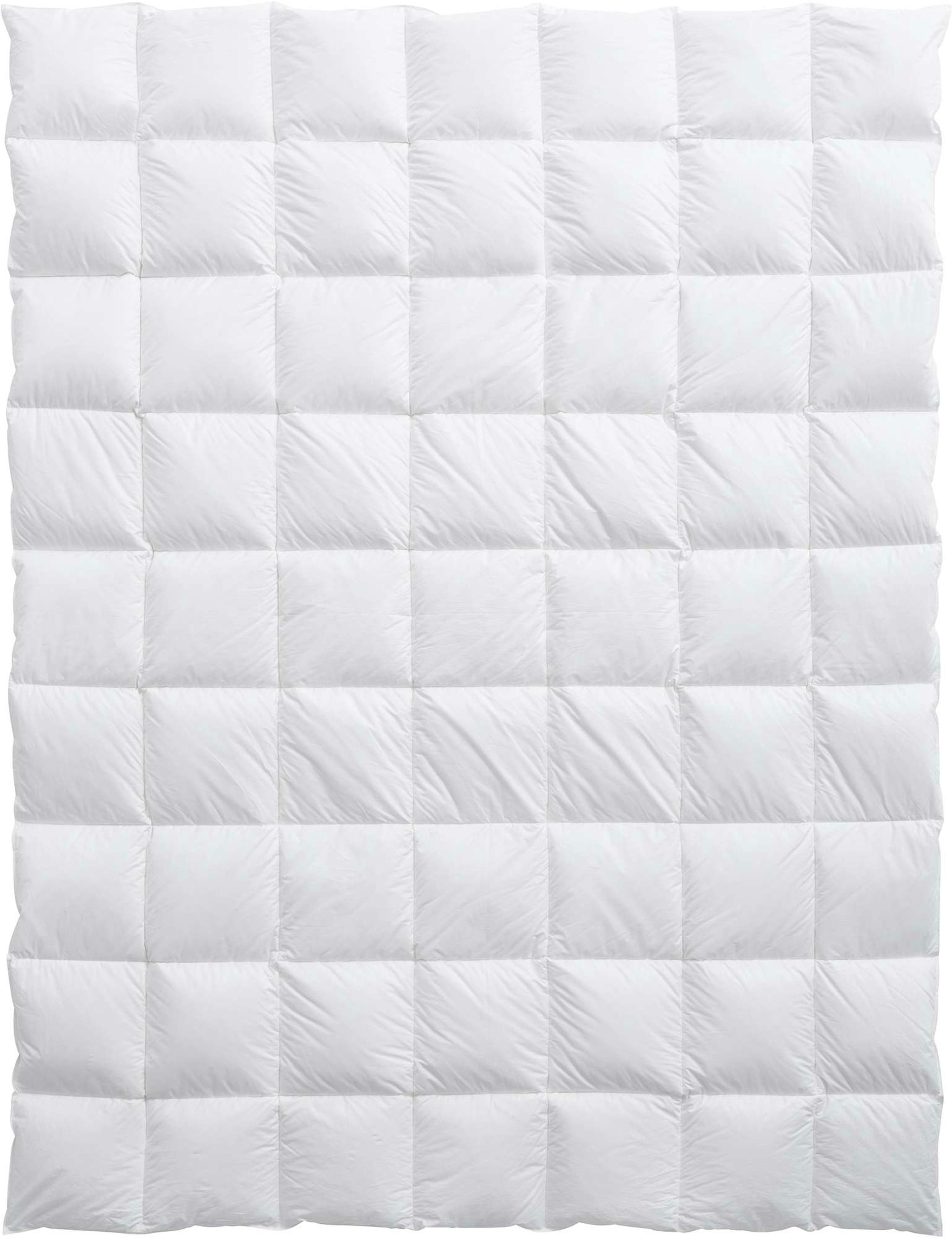 Billerbeck Daunenduvet Bern 100 leicht Billerbeck Daunenduvet Bern 100 leicht