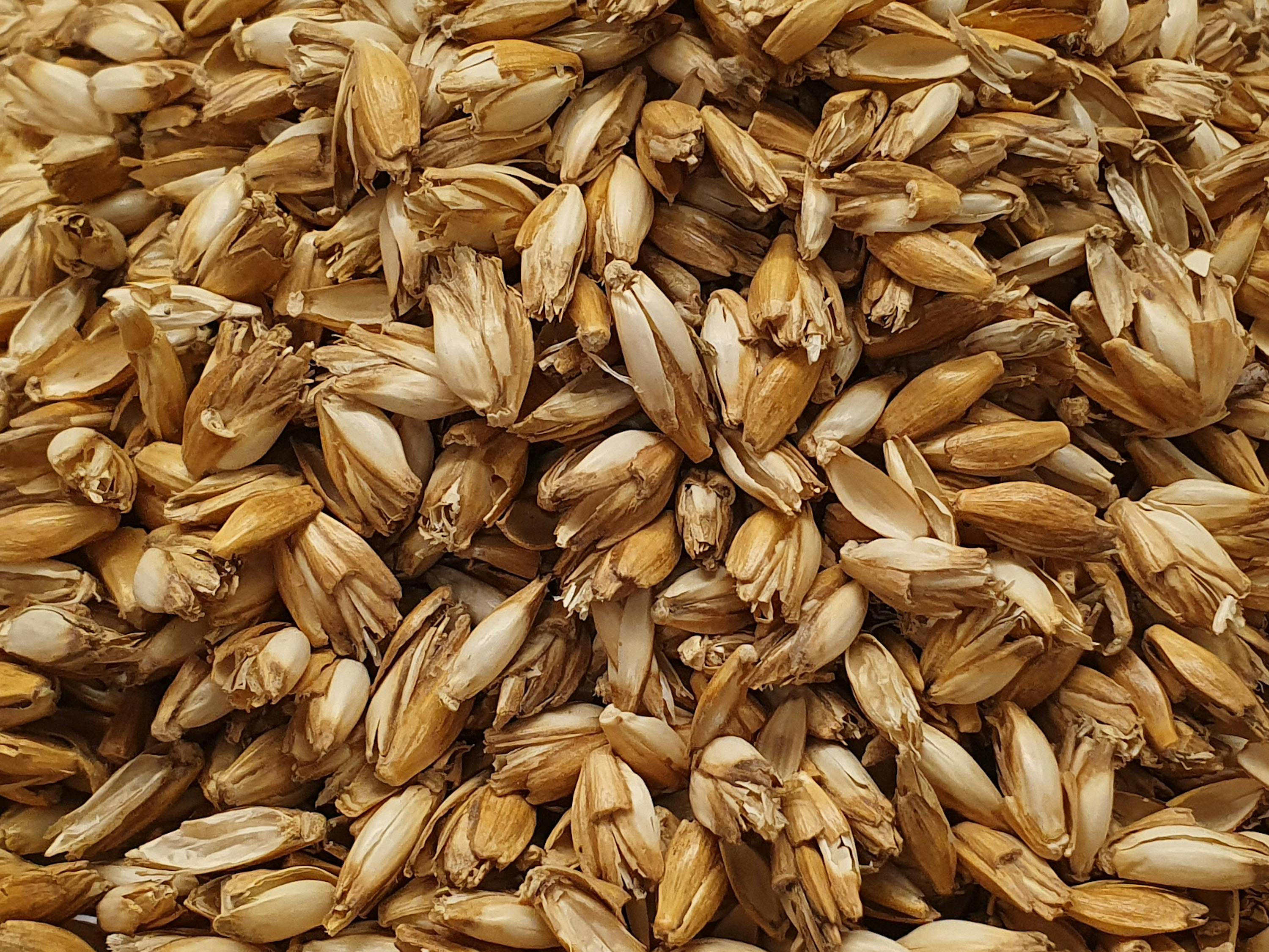 Sleepline Nachfüllbeutel Dinkelspreu